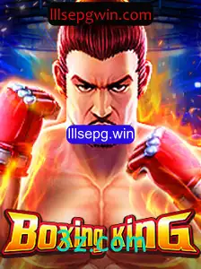 Descubra o Mundo Empolgante de BoxingKing
